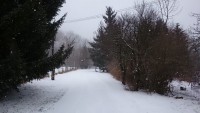 Pohlad od chaty na prijazdovu cestu.