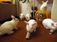 b.jpg (269.88 KiB) Zobrazeno 3488 x b.jpg